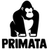 Primata - Início